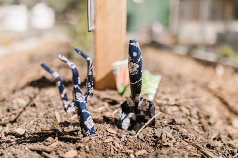 5 Best Garden Tools for Seniors That Preserve Energy & Independence